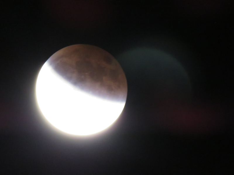 Illustration for article titled 34 Amazing Photos Of The Super Blood Moon